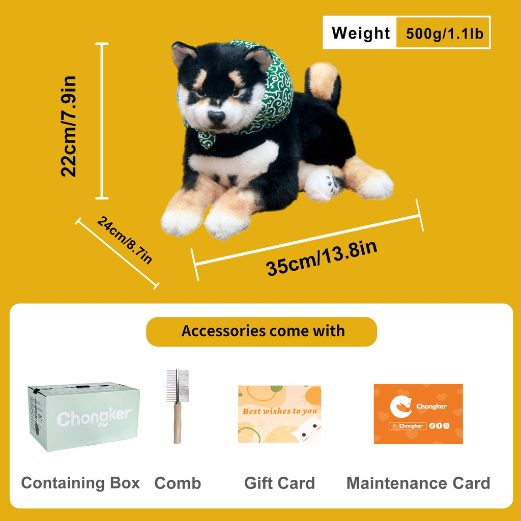 Black Shiba Inu Dog