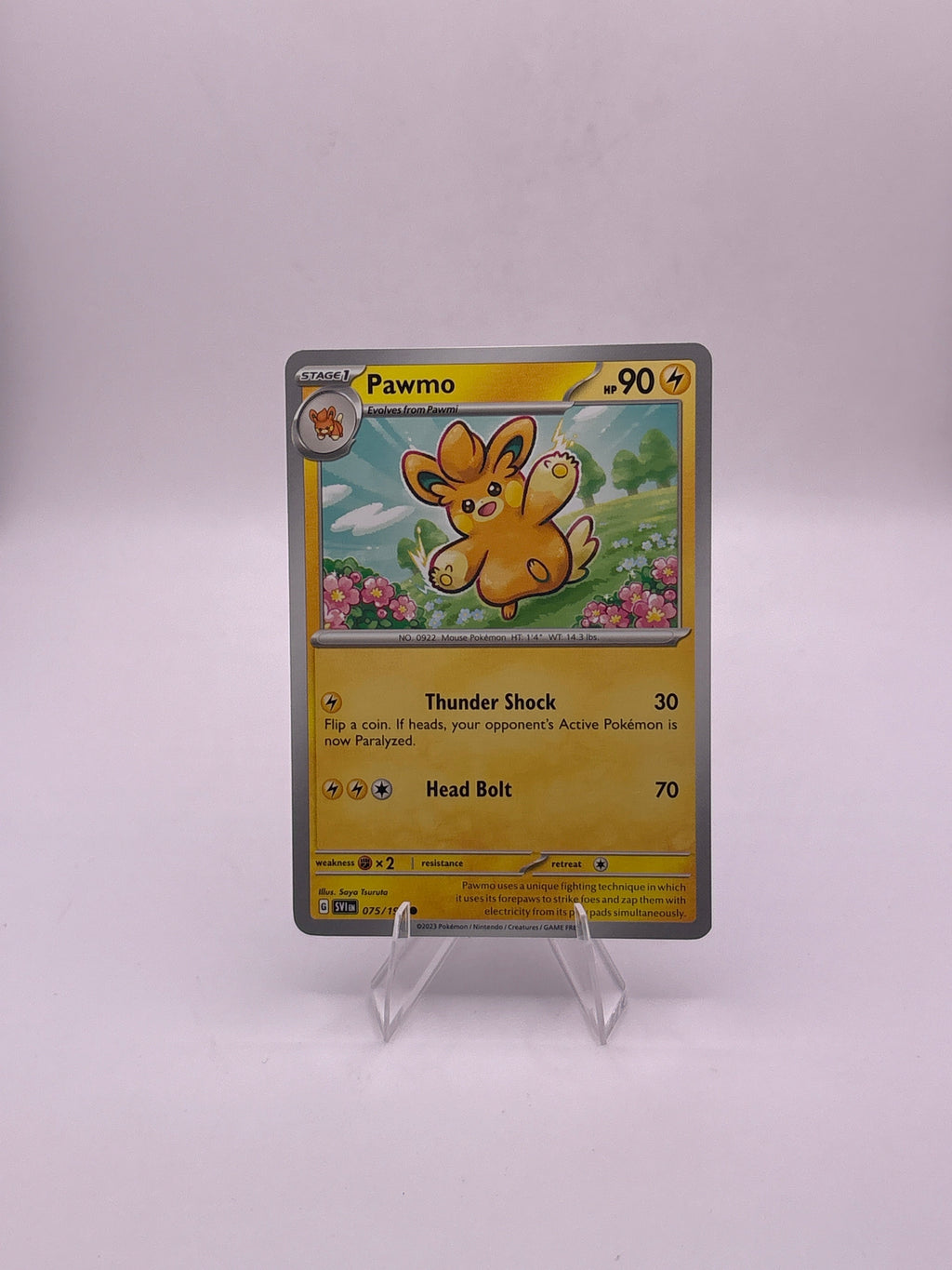 Pokemon Pawmo