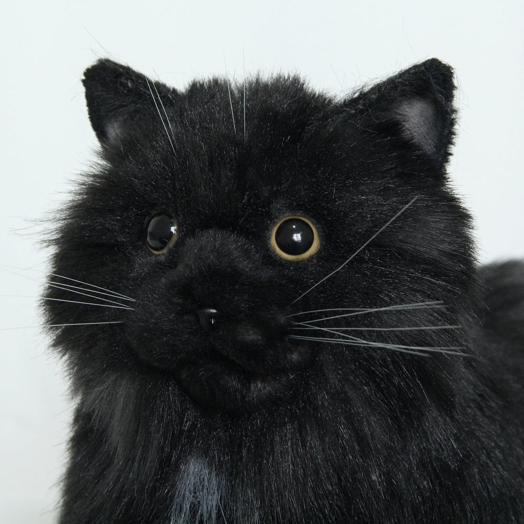 Fully Black Cat MADE-TO-ORDER